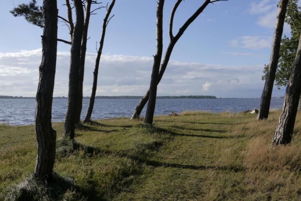 רריק Fewo 08 Seemoewe Mit Blick Auf Salzhaff Und Ostsee מראה חיצוני תמונה