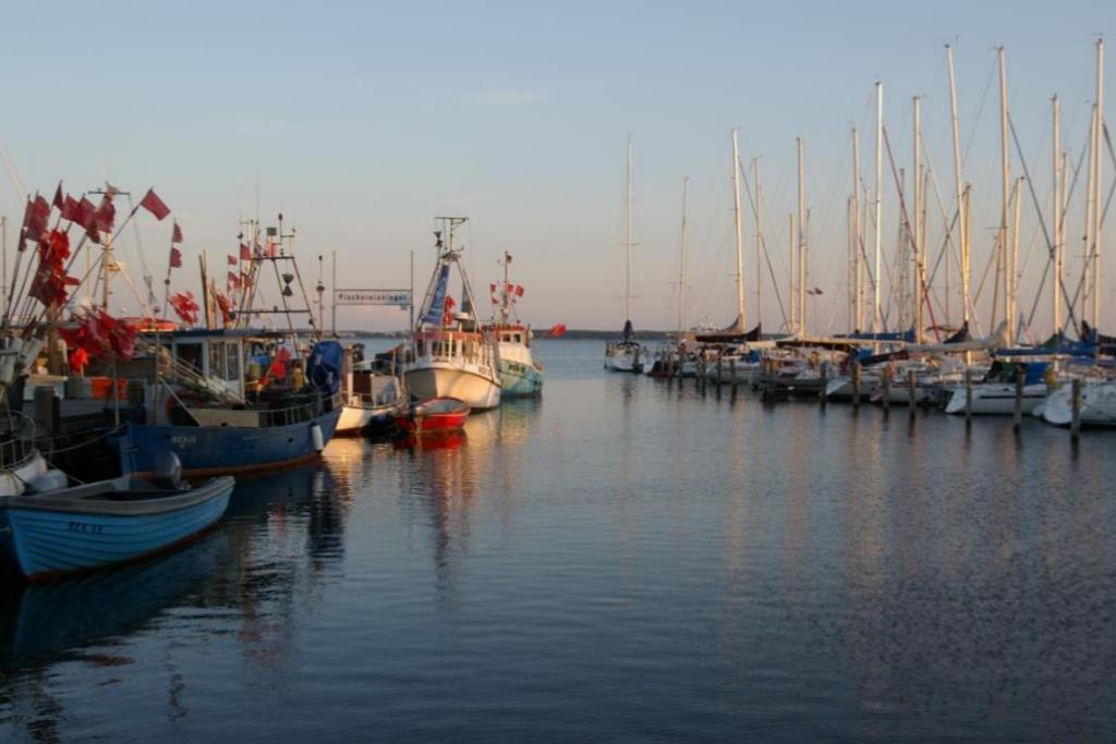 רריק Fewo 08 Seemoewe Mit Blick Auf Salzhaff Und Ostsee מראה חיצוני תמונה